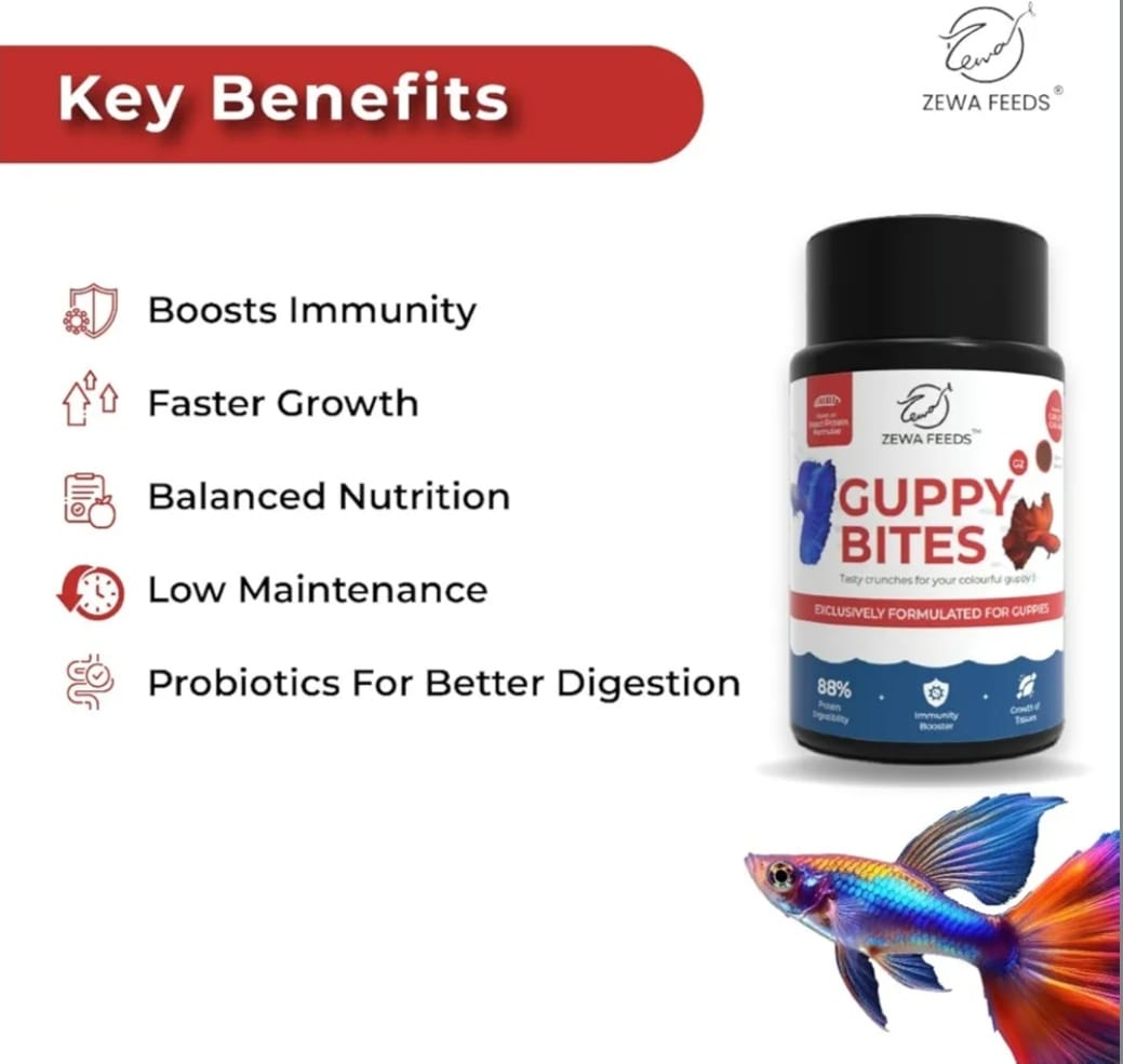 Guppy Bites -Zewa Feeds