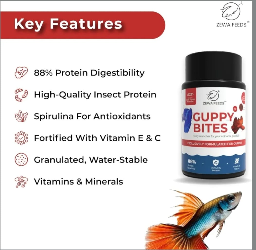 Guppy Bites -Zewa Feeds
