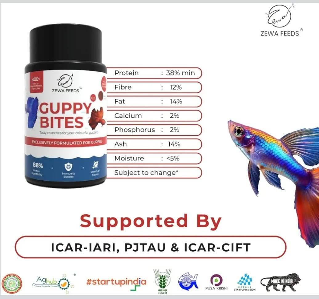 Guppy Bites -Zewa Feeds