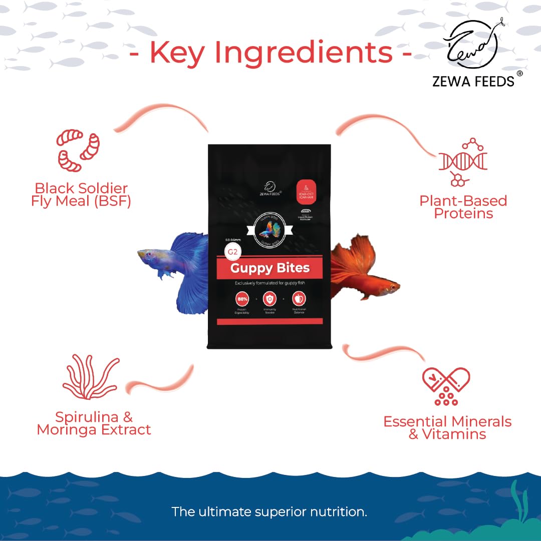 Guppy Bites 1KG | High Protein Fish Food for Guppy & Small Fish