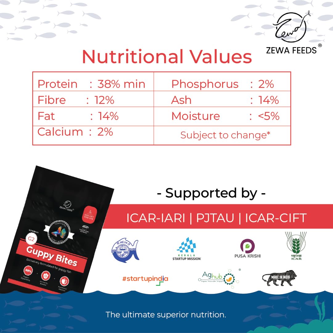 Guppy Bites 1KG | High Protein Fish Food for Guppy & Small Fish