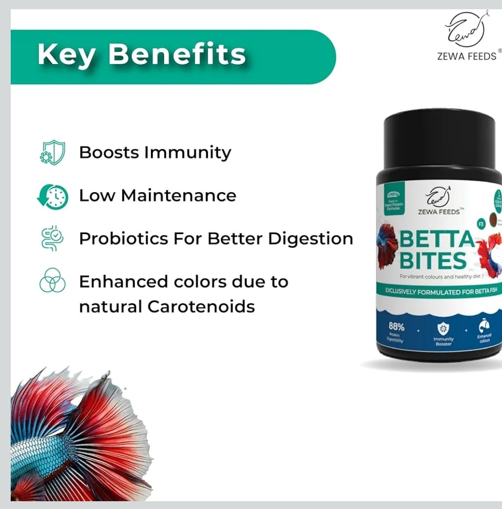 Betta Bites- Zewa Feeds
