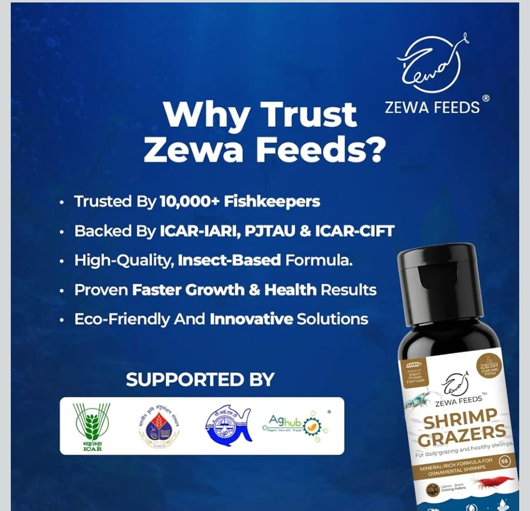 Shrimp Grazers -Zewa Feeds