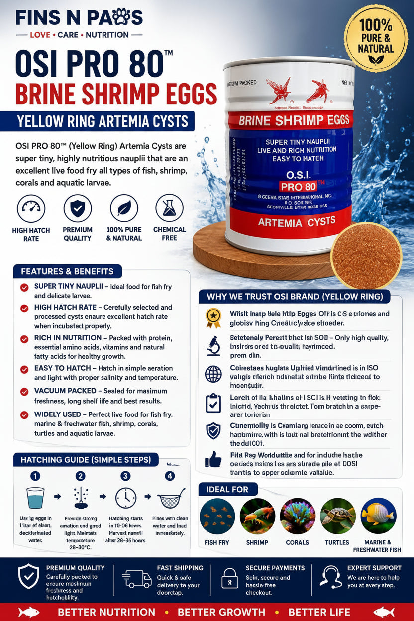 Artemia Yellow Ring -OSI 200g