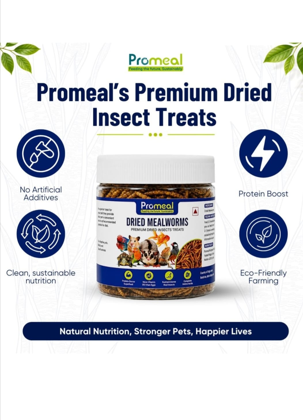 Promeal Dried Mealworms – High-Protein Natural Feeder Food