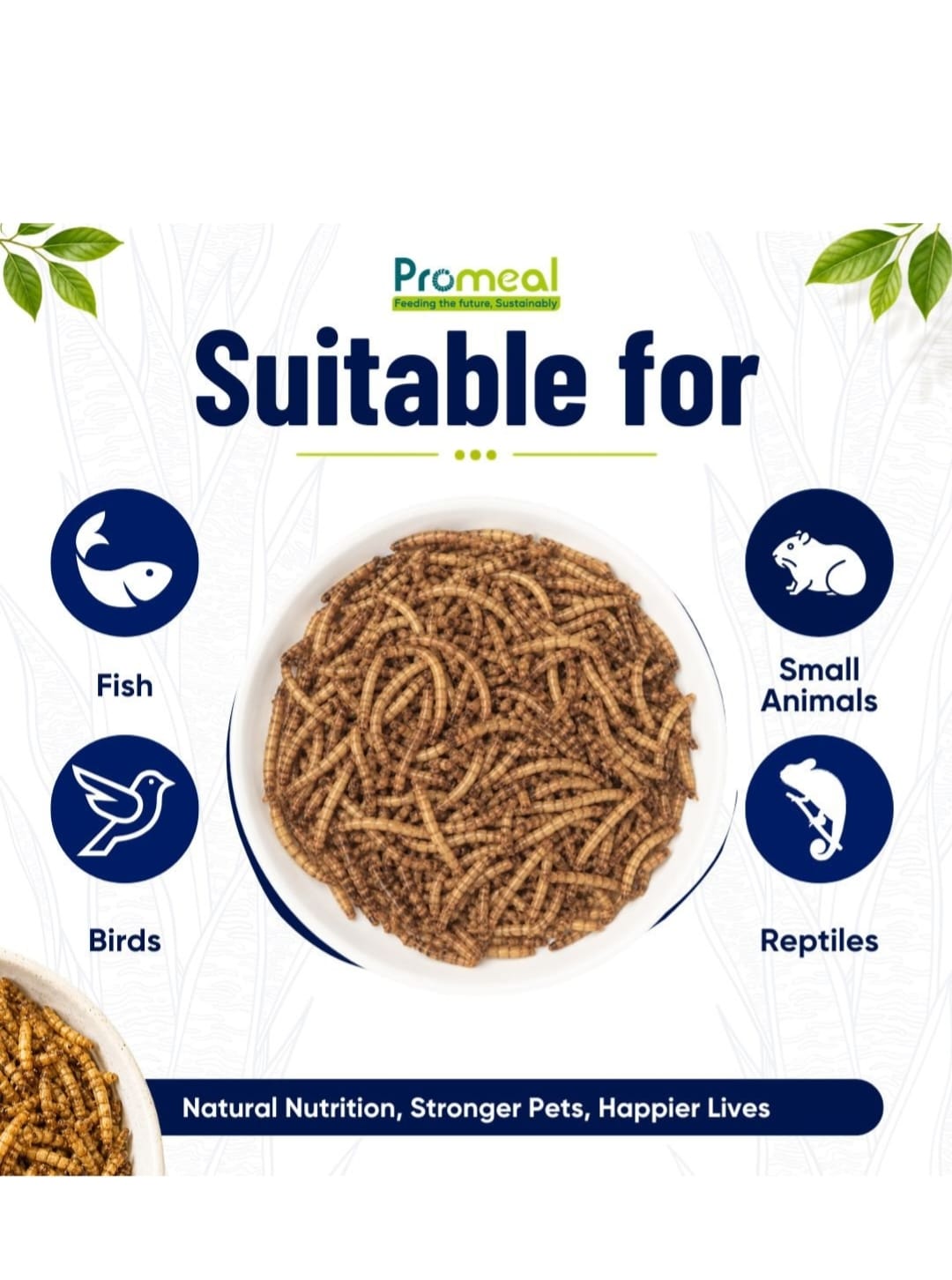 Promeal Dried Mealworms – High-Protein Natural Feeder Food