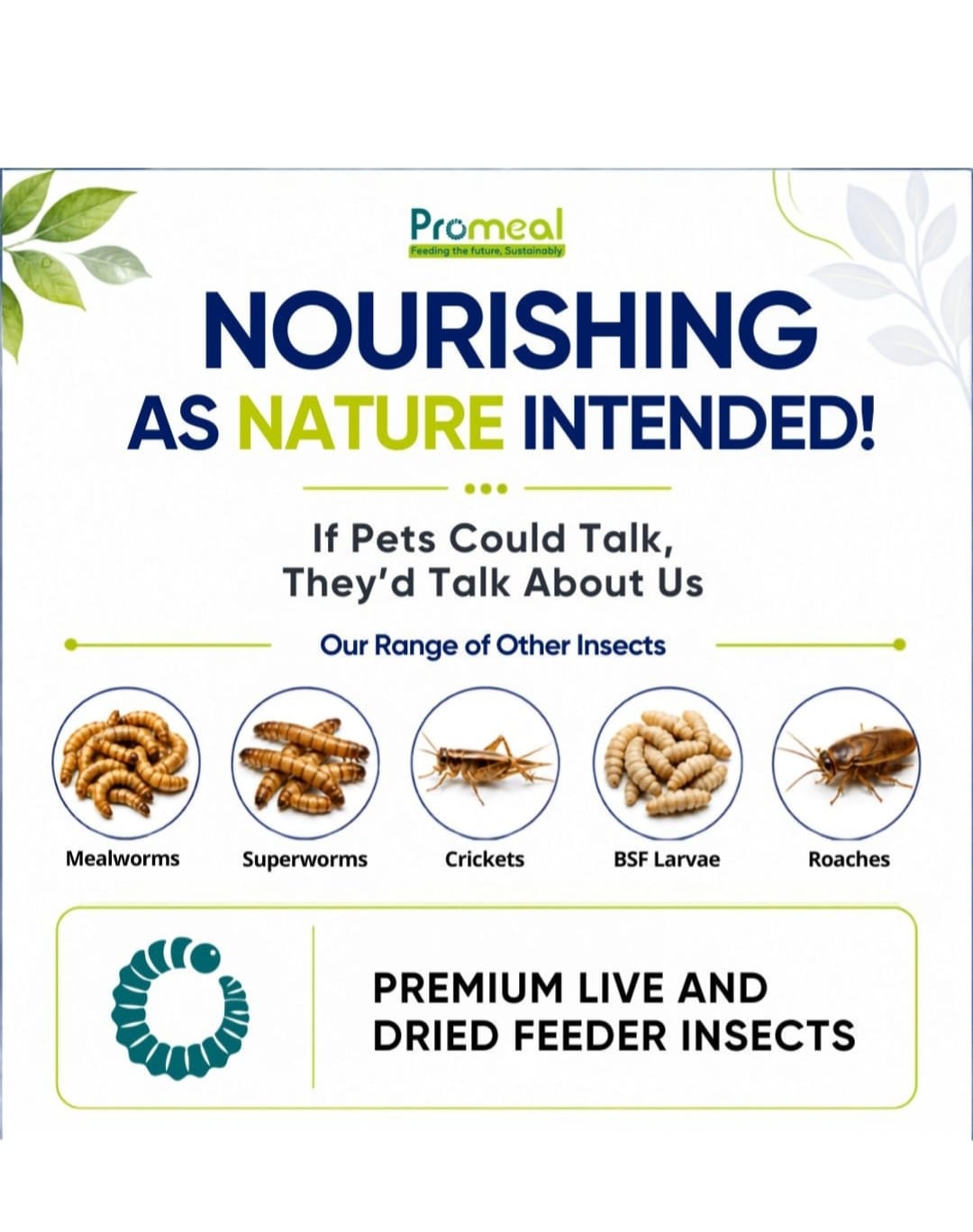 Promeal Dried Mealworms – High-Protein Natural Feeder Food