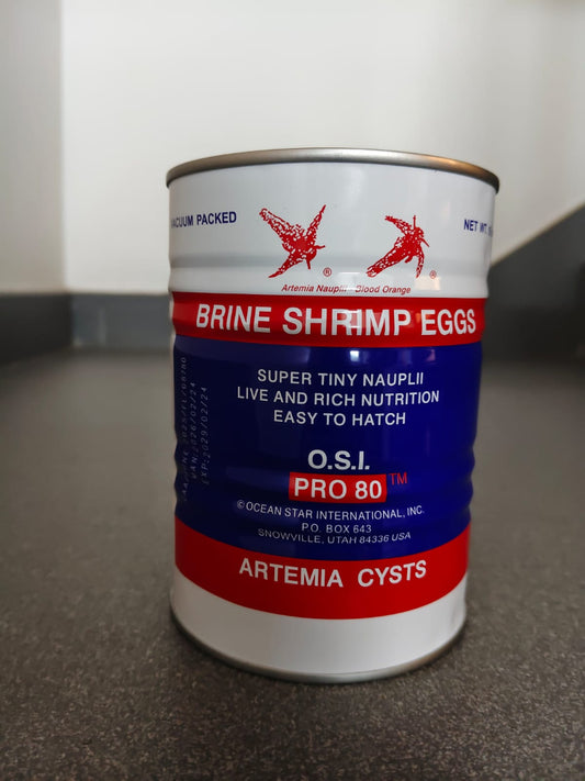 Artemia Eggs-OSI Yellow Ring 50 g Pack