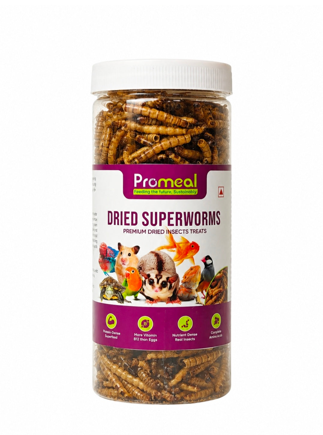 Dried Super Worms 30g