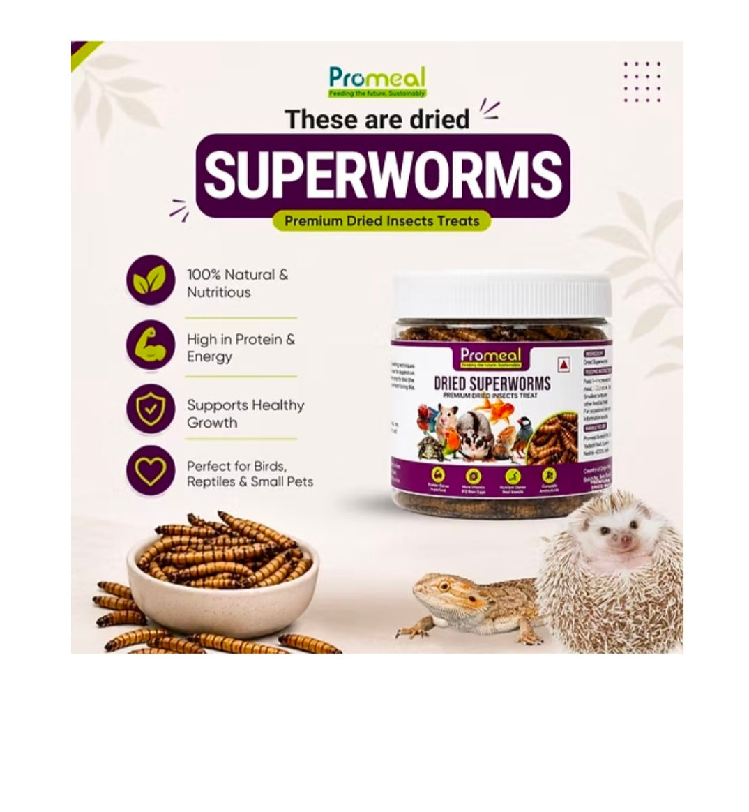 Dried Super Worms 30g