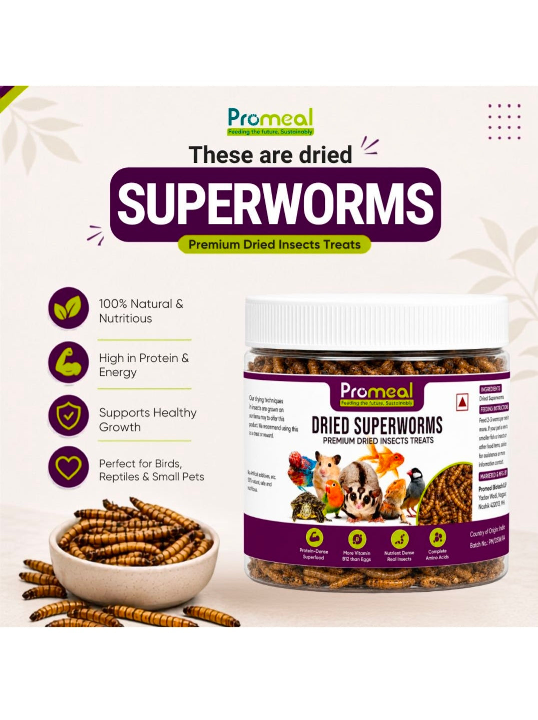 Dried Super Worms 30g