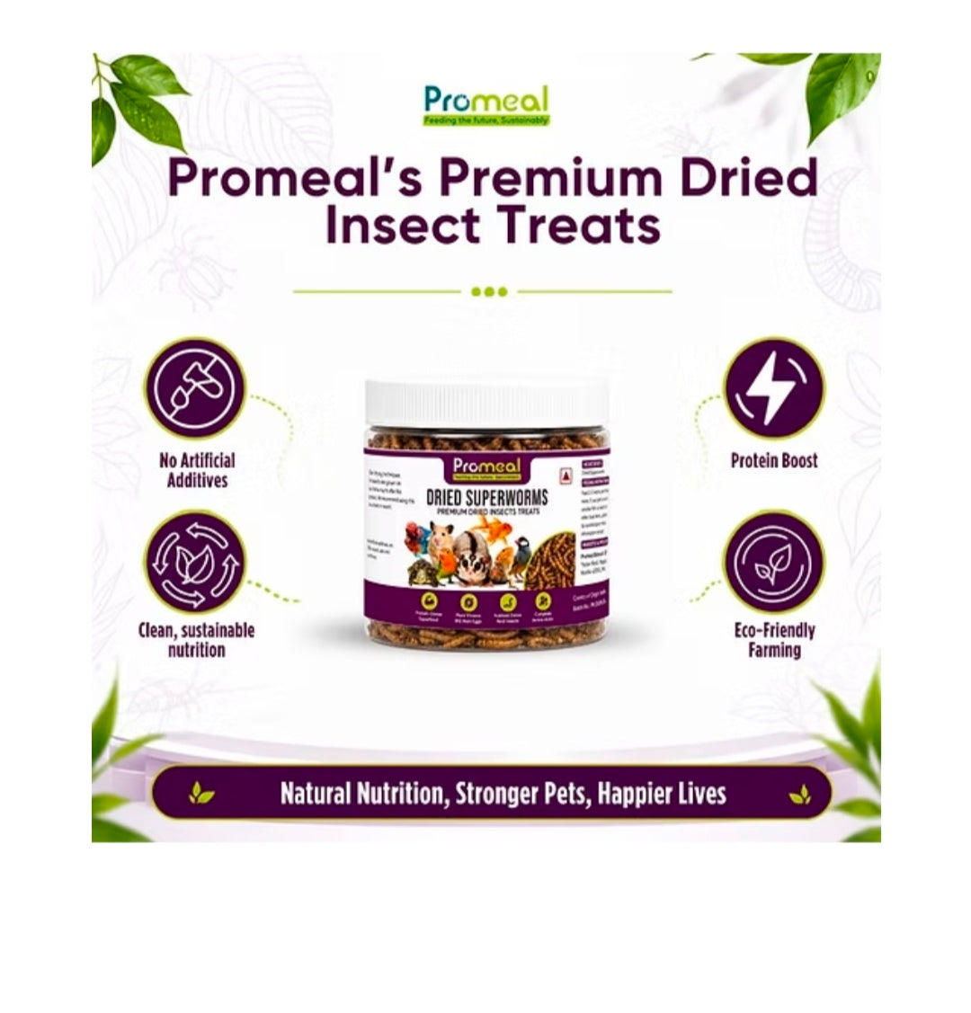 Dried Super Worms 30g